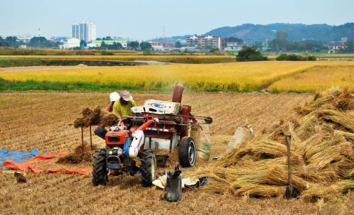 Hiện trạng nông nghiệp