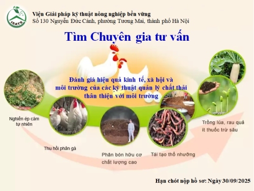 Tìm chuyên gia tư vấn