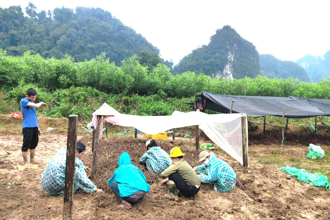 Các học viên thực hành theo nhóm.