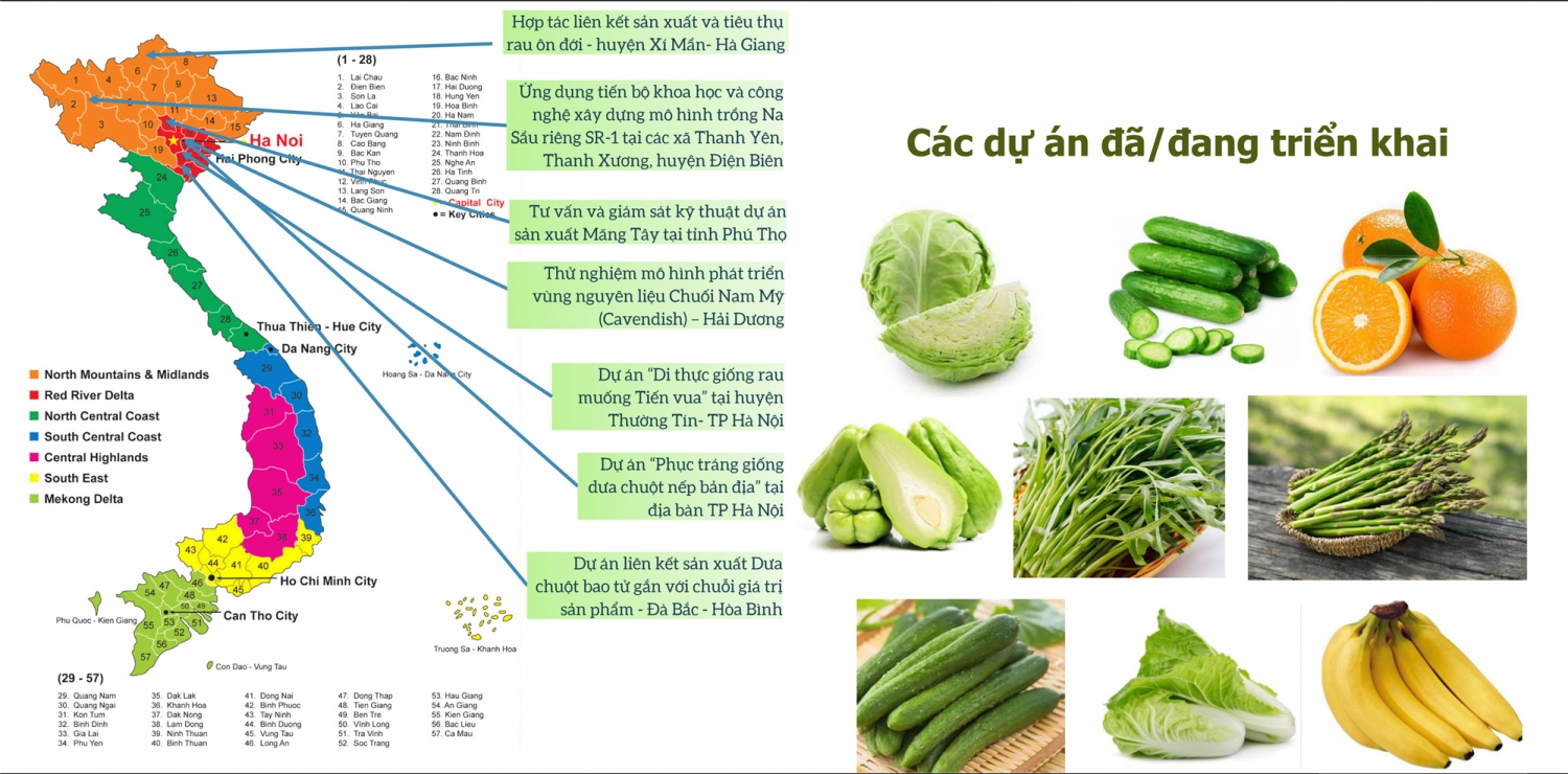 du an da trien khai vn