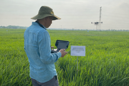 Viện Giải pháp Kỹ thuật Nông nghiệp Bền vững – Đơn vị khảo nghiệm uy tín, đồng hành cùng nền nông nghiệp hiện đại