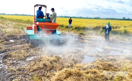 Xử lý rơm rạ tại ruộng, giảm 15 - 25% chi phí sản xuất