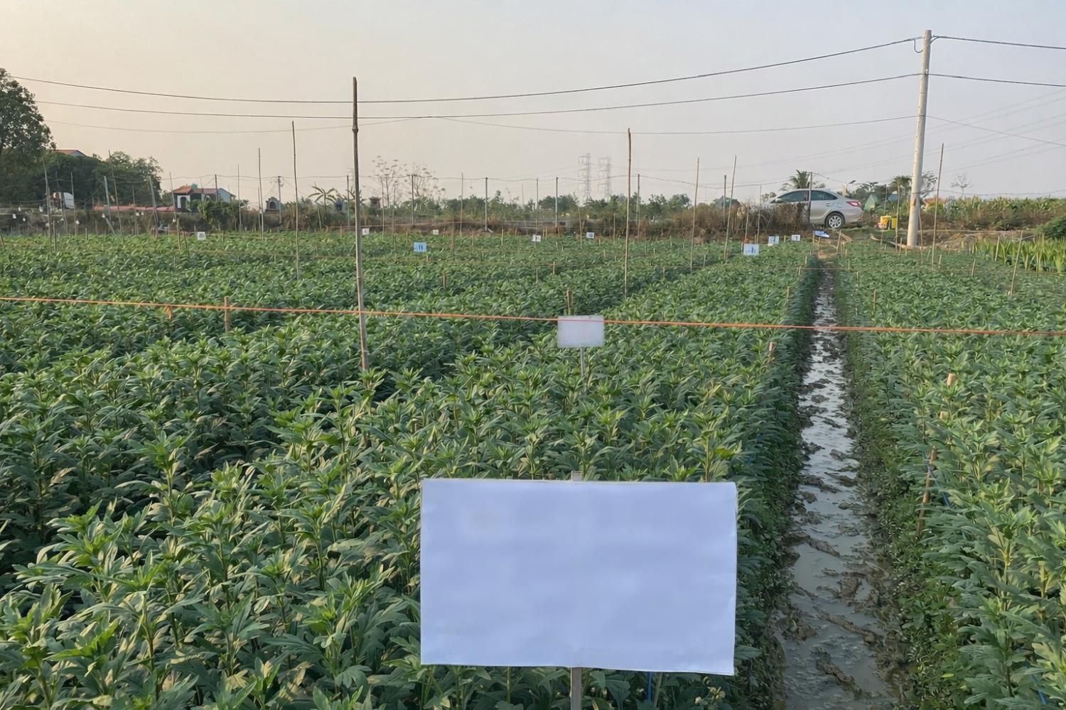 1146e09f 126c 47f1 9c01 777f849f2ea9