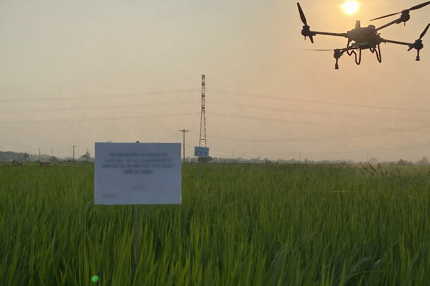 ffebe51c 917d 4617 b7c8 3fc74ec3f096